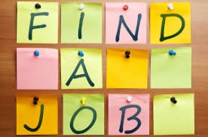 Career finder